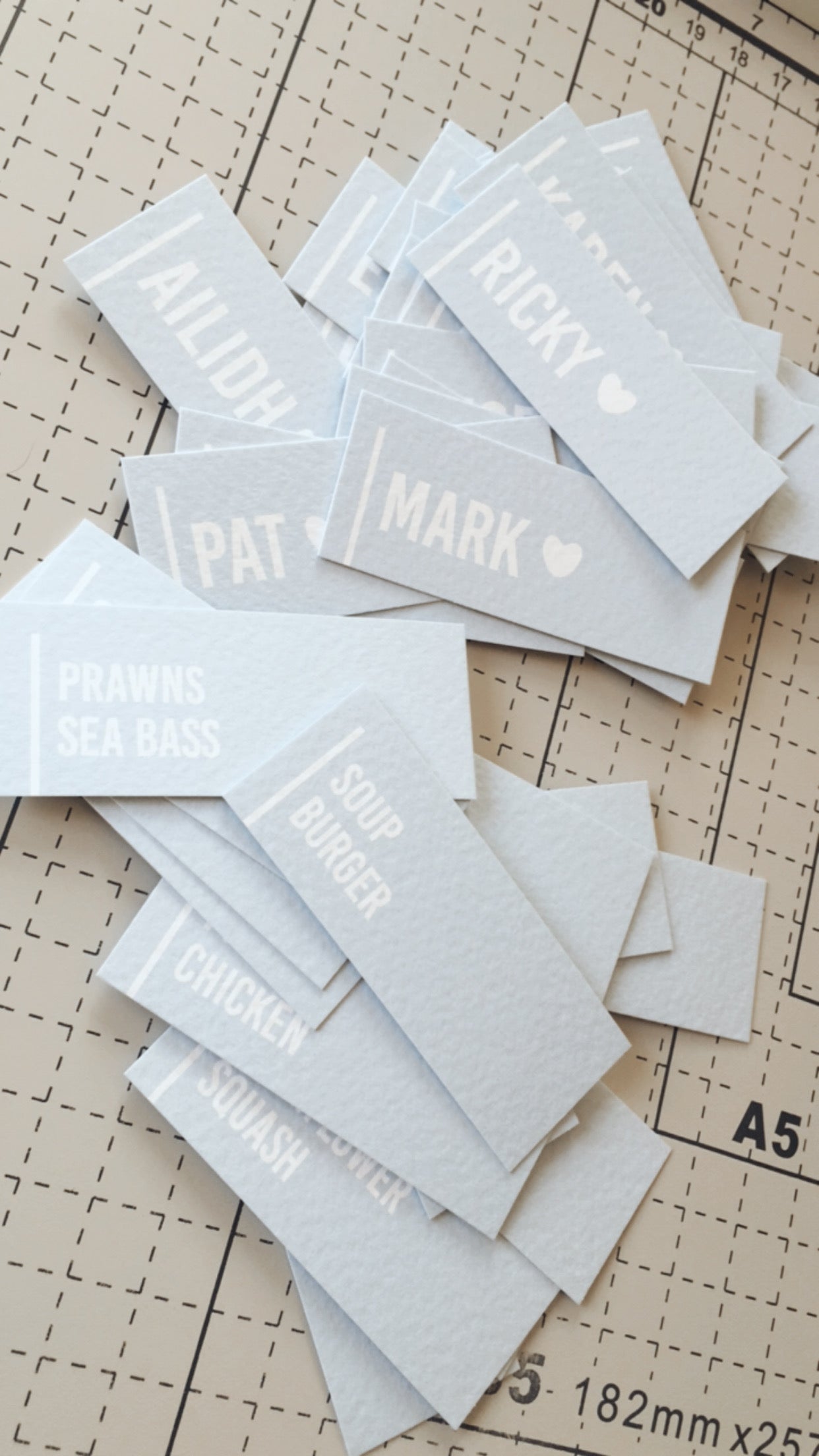 Minimal Blue Wedding Guest Place Names