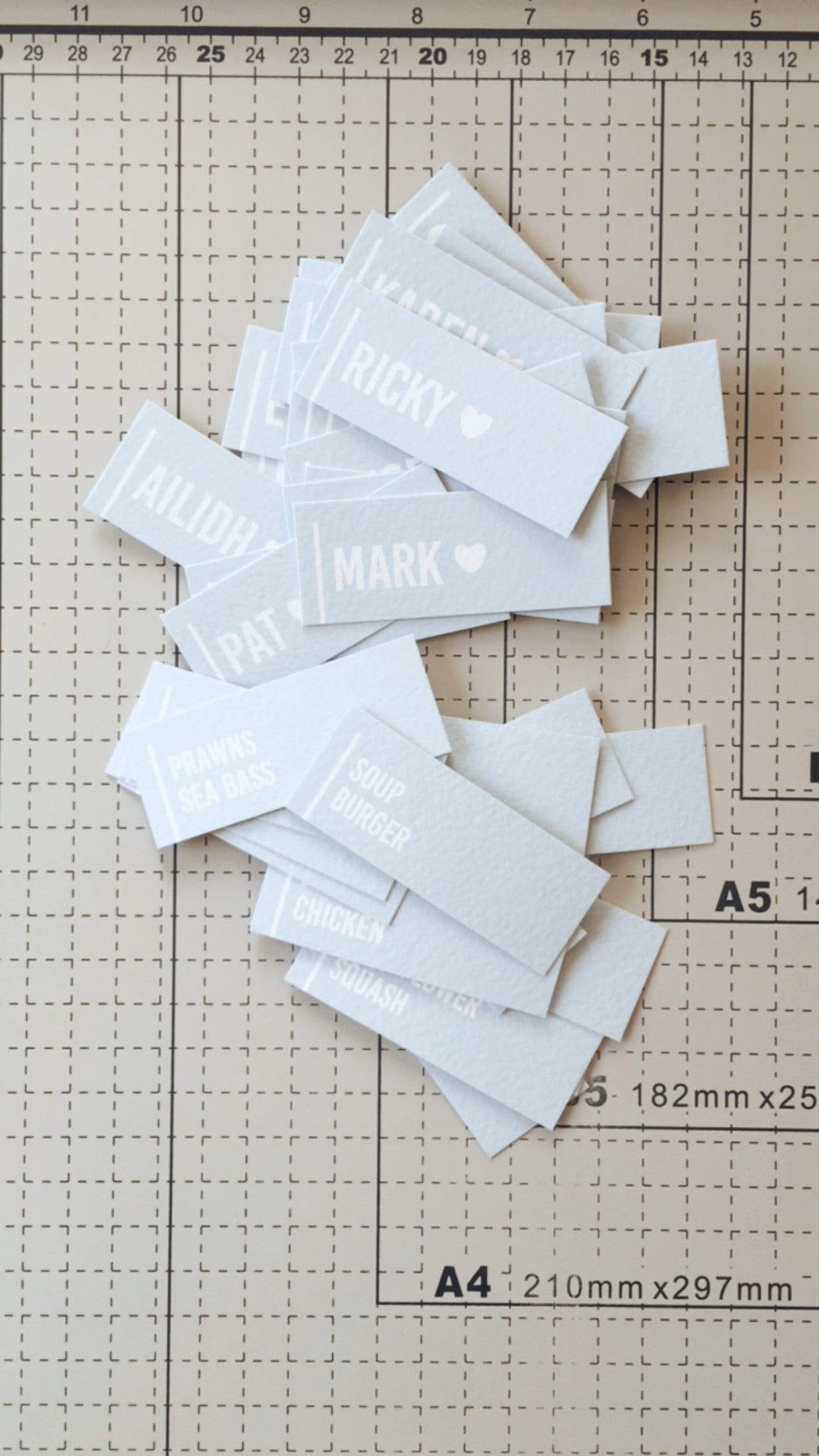 Minimal Blue Wedding Guest Place Names